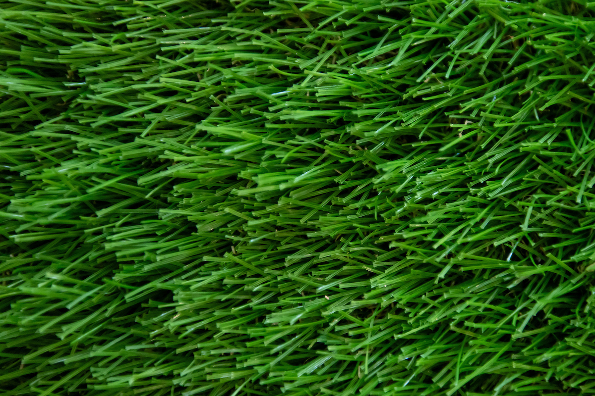 detailed close up of green grass